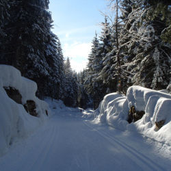 Sous la Neige, la Route